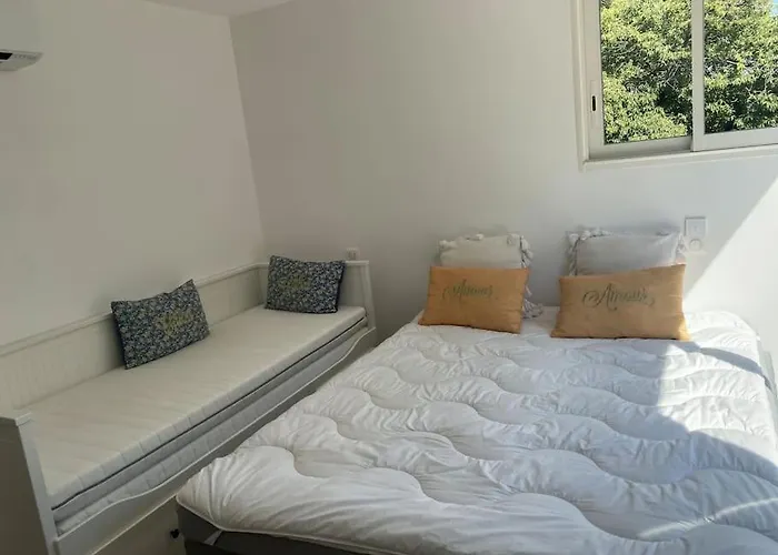 Daire Antibes Appartement Antibes